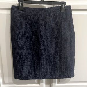 Ann Taylor skirt